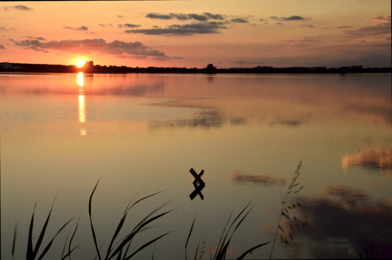 Censimento in contemporanea degli uccelli acquatici svernanti nelle zone umide della provincia di caserta e al lago patria