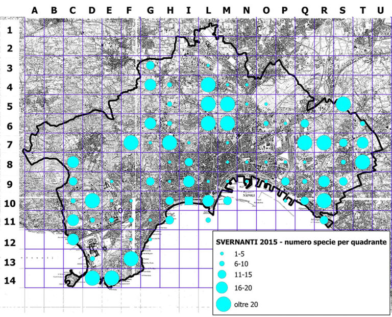 Nuovo Atlante degli Uccelli Nidificanti e Svernanti nella città di Napoli