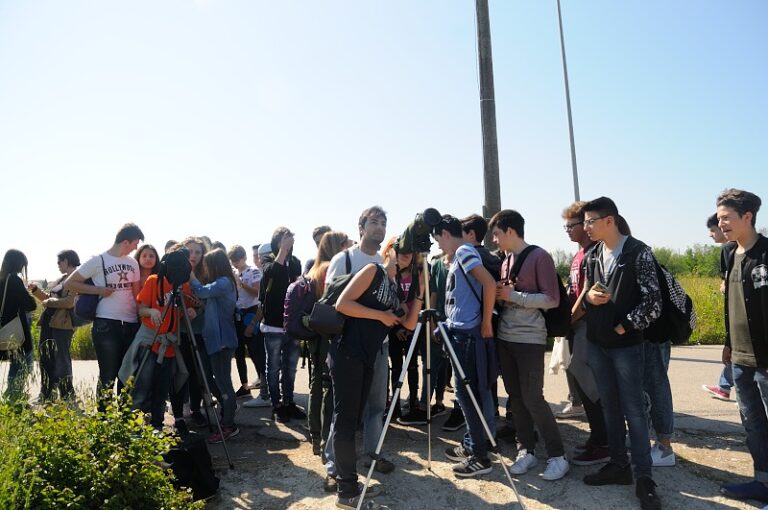 World Migratory Bird Day e Cicogna day