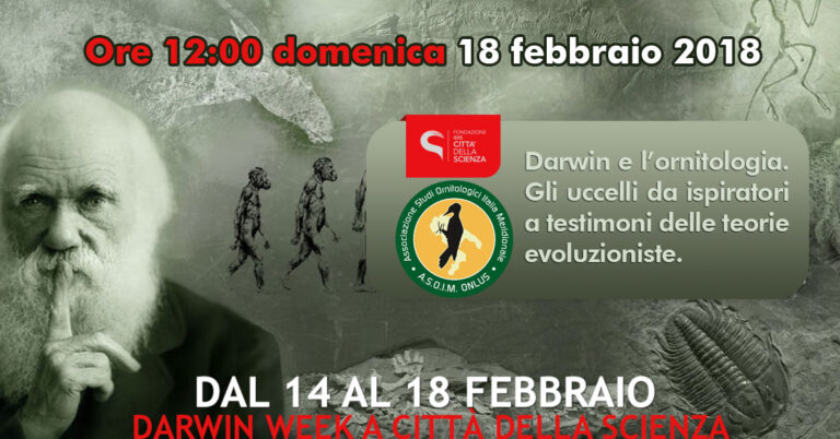 Darwin e l’ornitologia. Gli uccelli da ispiratori a testimoni delle teorie evoluzioniste