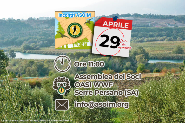 Assemblea SOCI – 29 aprile 2018 – Oasi WWF Serre Persano