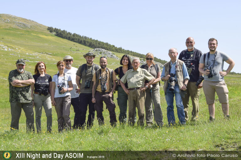 XIII Night and Day ASOIM – 8 e 9 giugno 2019