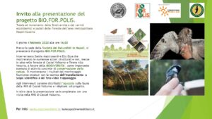 locandina ev bioforpolis