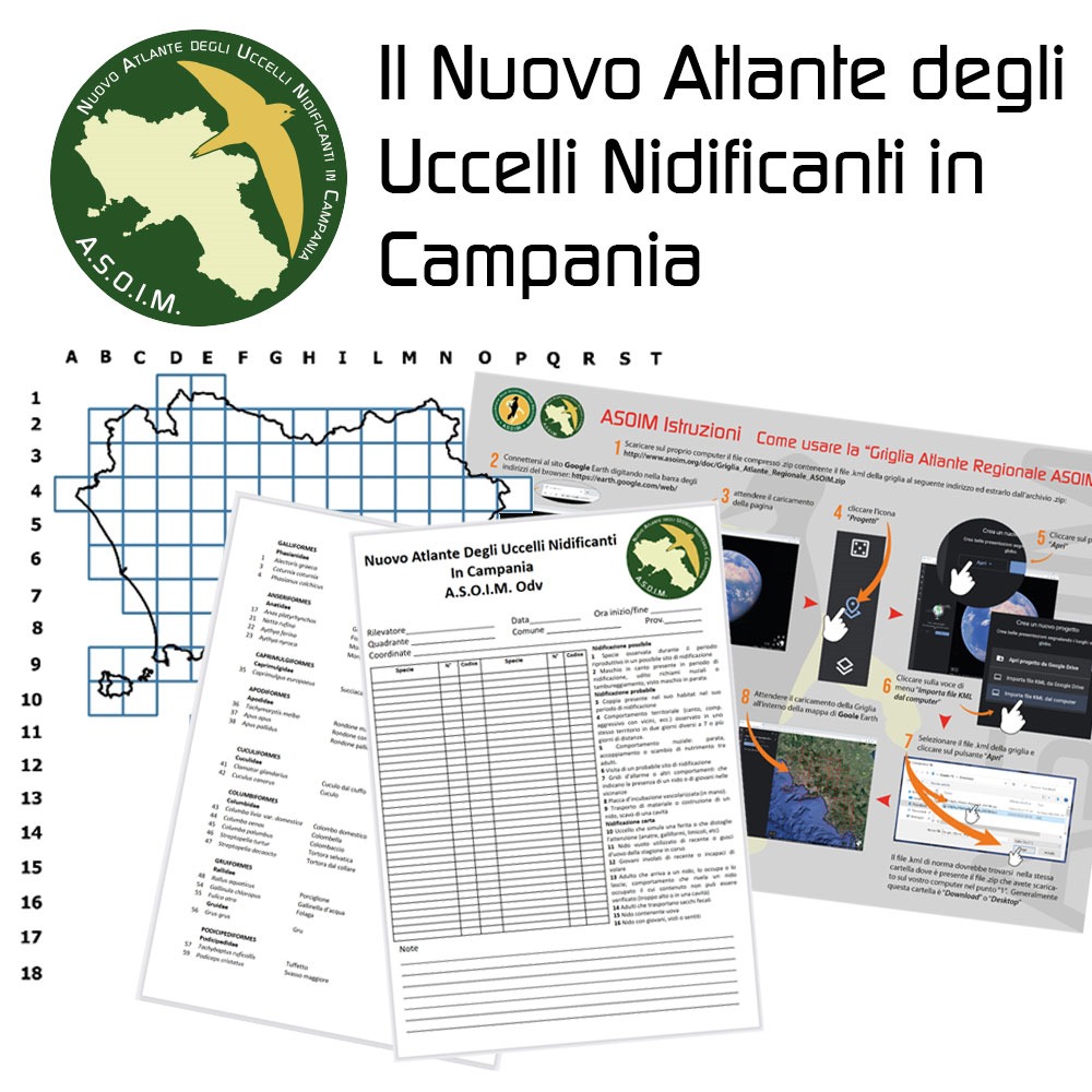 Il Nuovo Atlante degli Uccelli Nidificanti in Campania a cura dell’ASOIM